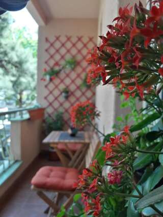 Апартаменты Heart of Downtown Apartment Подгорица Апартаменты с 1 спальней-13