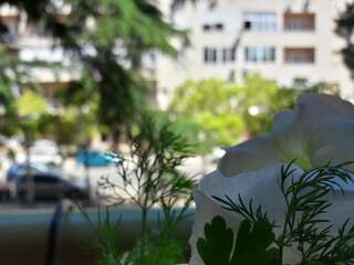 Апартаменты Heart of Downtown Apartment Подгорица Апартаменты с 1 спальней-21